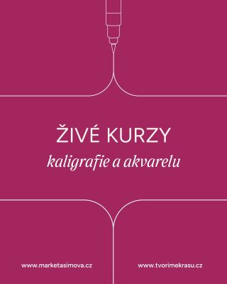 ✨ Do konce roku mě čeká hned několik krásných tvořivých setkání! 🎨✒️ A tentokrát to bude ještě výjimečnější — vůbec poprvé...